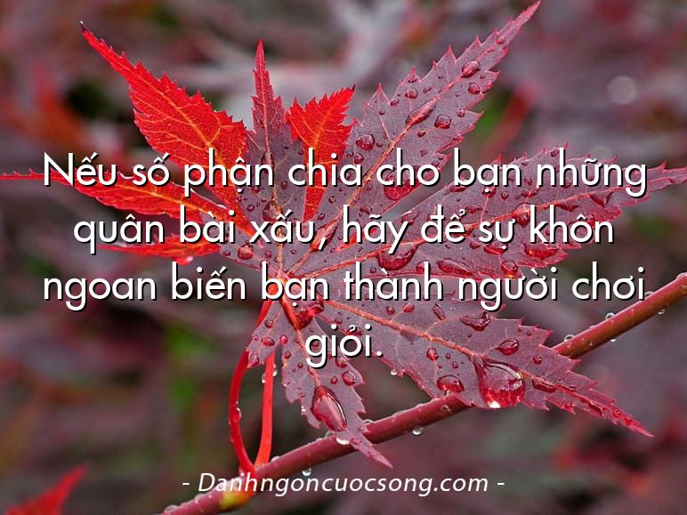 Nếu số phận chia cho bạn những quân bài xấu, hãy để sự khôn ngoan biến bạn thành người chơi giỏi.