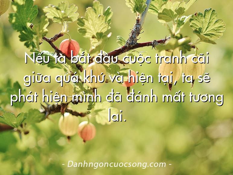 Nếu ta bắt đầu cuộc tranh cãi giữa quá khứ và hiện tại, ta sẽ phát hiện mình đã đánh mất tương lai.