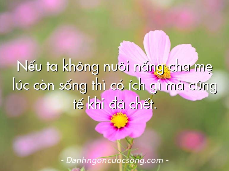 Nếu ta không nuôi nấng cha mẹ lúc còn sống thì có ích gì mà cúng tế khi đã chết.
