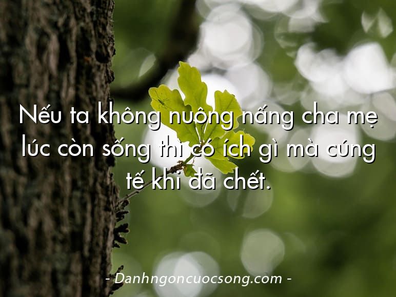 Nếu ta không nuông nấng cha mẹ lúc còn sống thì có ích gì mà cúng tế khi đã chết.