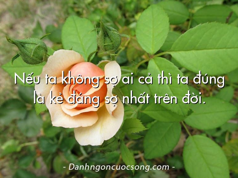 Nếu ta không sợ ai cả thì ta đúng là kẻ đáng sợ nhất trên đời.
