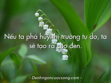 Nếu ta phá hủy thị trường tự do, ta sẽ tạo ra chợ đen.