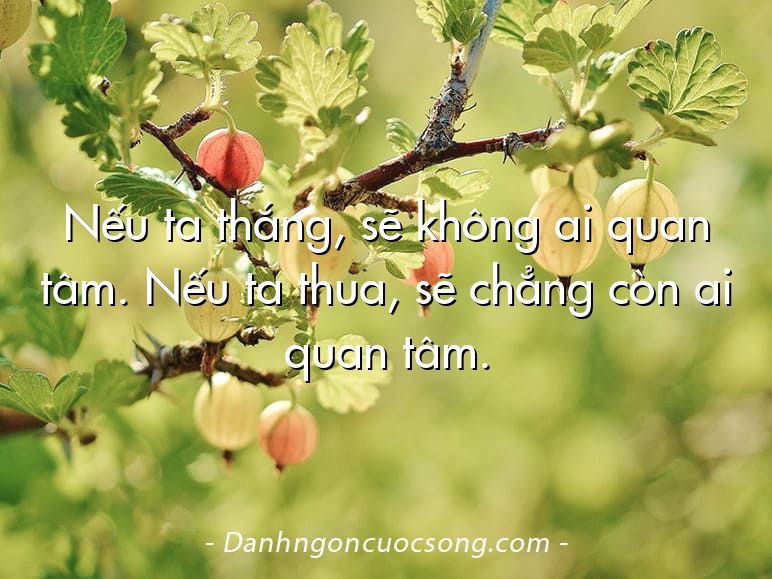 Nếu ta thắng, sẽ không ai quan tâm. Nếu ta thua, sẽ chẳng còn ai quan tâm.