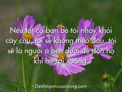 Nếu tất cả bạn bè tôi nhảy khỏi cây cầu, tôi sẽ không theo đâu, tôi sẽ là người ở bên dưới để đón họ khi họ rơi xuống.