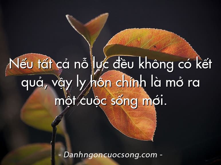 Nếu tất cả nỗ lực đều không có kết quả, vậy ly hôn chính là mở ra một cuộc sống mới.