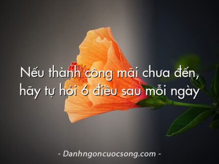 Nếu thành công mãi chưa đến, hãy tự hỏi 6 điều sau mỗi ngày