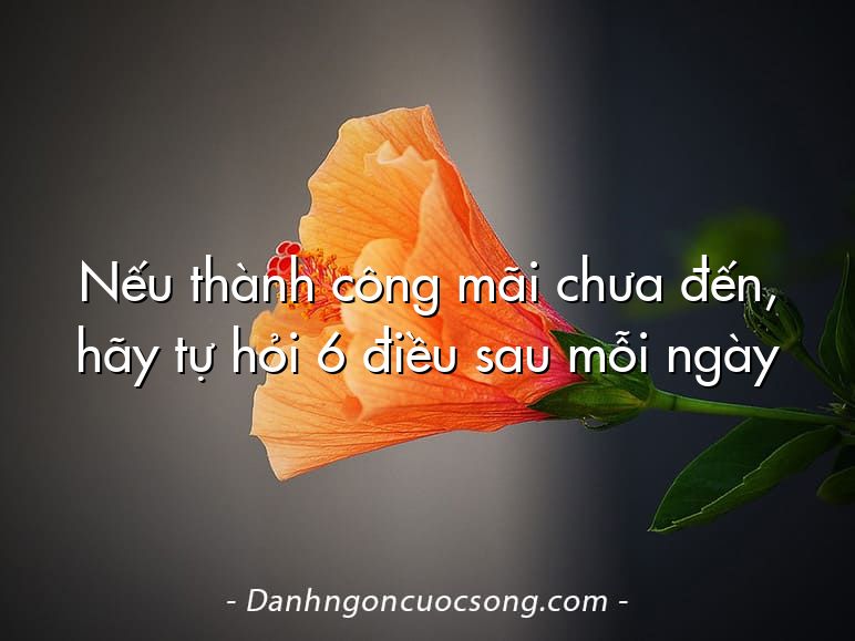 Nếu thành công mãi chưa đến, hãy tự hỏi 6 điều sau mỗi ngày