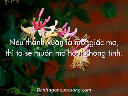 Nếu thanh xuân là một giấc mơ, thì ta sẽ muốn mơ hoài không tỉnh.