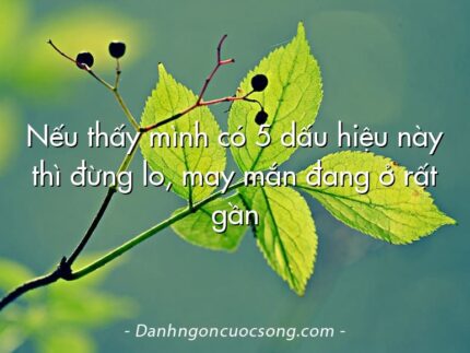 Nếu thấy mình có 5 dấu hiệu này thì đừng lo, may mắn đang ở rất gần