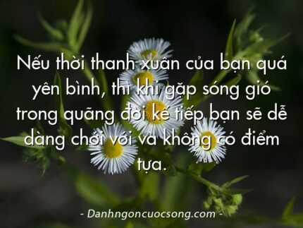 Nếu thời thanh xuân của bạn quá yên bình, thì khi gặp sóng gió trong quãng đời kế tiếp bạn sẽ dễ dàng chới với và không có điểm tựa.