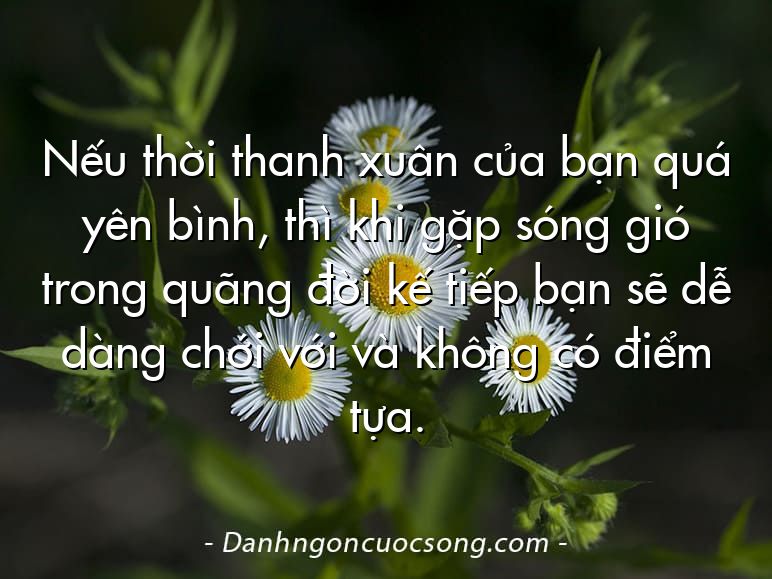 Nếu thời thanh xuân của bạn quá yên bình, thì khi gặp sóng gió trong quãng đời kế tiếp bạn sẽ dễ dàng chới với và không có điểm tựa.