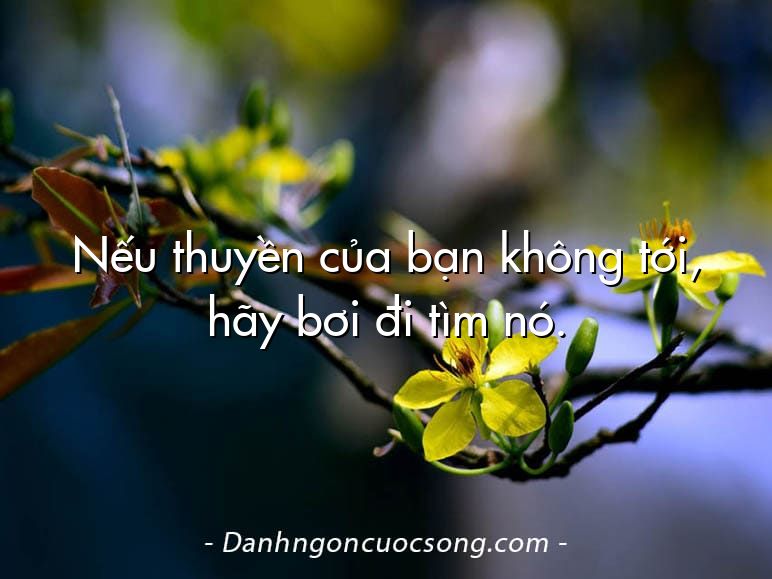 Nếu thuyền của bạn không tới, hãy bơi đi tìm nó.