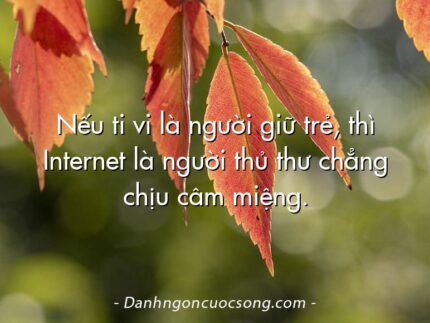 Nếu ti vi là người giữ trẻ, thì Internet là người thủ thư chẳng chịu câm miệng.