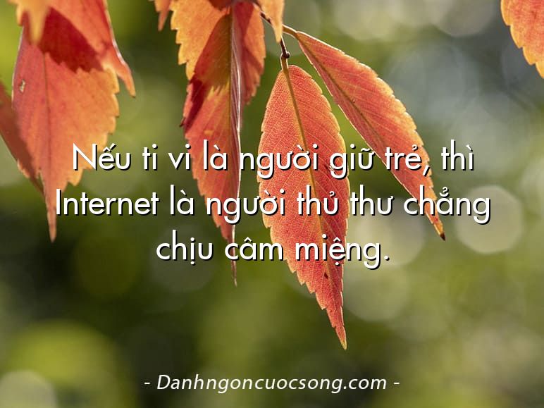 Nếu ti vi là người giữ trẻ, thì Internet là người thủ thư chẳng chịu câm miệng.
