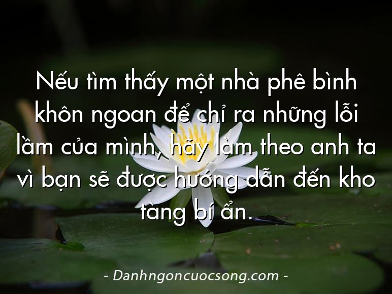 Nếu tìm thấy một nhà phê bình khôn ngoan để chỉ ra những lỗi lầm của mình, hãy làm theo anh ta vì bạn sẽ được hướng dẫn đến kho tàng bí ẩn.