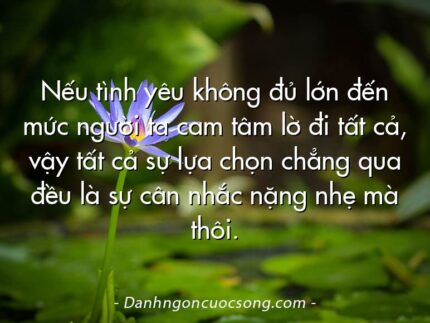 Nếu tình yêu không đủ lớn đến mức người ta cam tâm lờ đi tất cả, vậy tất cả sự lựa chọn chẳng qua đều là sự cân nhắc nặng nhẹ mà thôi.