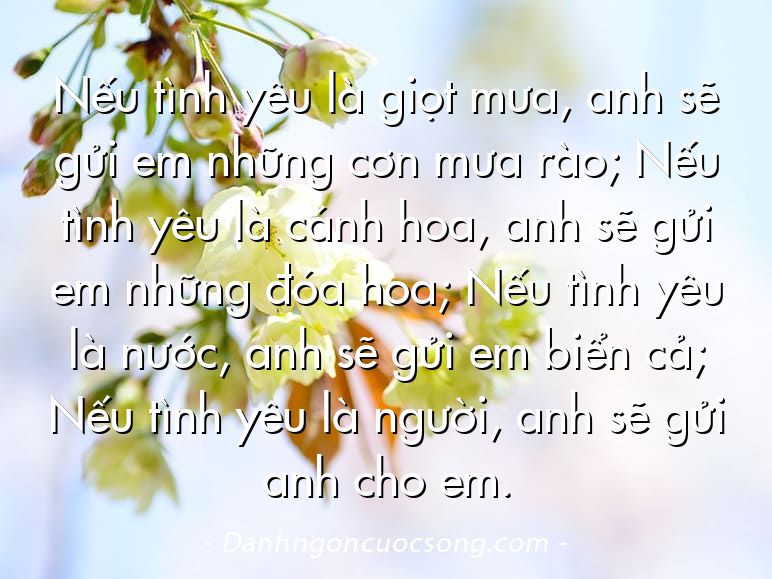 Nếu tình yêu là giọt mưa, anh sẽ gửi em những cơn mưa rào; Nếu tình yêu là cánh hoa, anh sẽ gửi em những đóa hoa; Nếu tình yêu là nước, anh sẽ gửi em biển cả; Nếu tình yêu là người, anh sẽ gửi anh cho em.