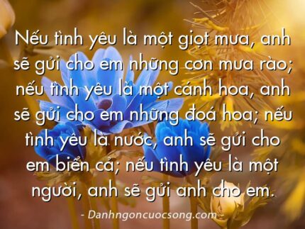 Nếu tình yêu là một giọt mưa, anh sẽ gửi cho em những cơn mưa rào; nếu tình yêu là một cánh hoa, anh sẽ gửi cho em những đoá hoa; nếu tình yêu là nước, anh sẽ gửi cho em biển cả; nếu tình yêu là một người, anh sẽ gửi anh cho em.