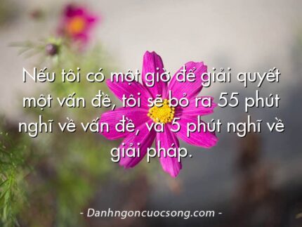 Nếu tôi có một giờ để giải quyết một vấn đề, tôi sẽ bỏ ra 55 phút nghĩ về vấn đề, và 5 phút nghĩ về giải pháp.