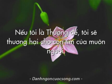 Nếu tôi là Thượng đế, tôi sẽ thương hại cho con tim của muôn người.