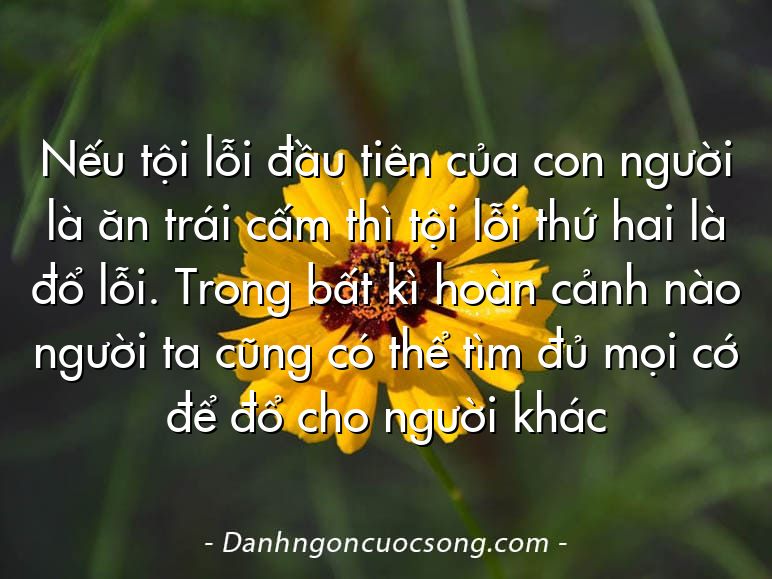 Nếu tội lỗi đầu tiên của con người là ăn trái cấm thì tội lỗi thứ hai là đổ lỗi. Trong bất kì hoàn cảnh nào người ta cũng có thể tìm đủ mọi cớ để đổ cho người khác