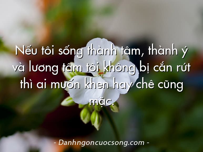 Nếu tôi sống thành tâm, thành ý và lương tâm tôi không bị cắn rứt thì ai muốn khen hay chê cũng mặc.
