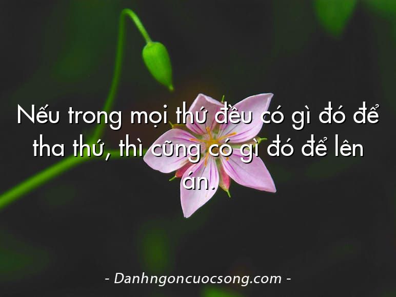 Nếu trong mọi thứ đều có gì đó để tha thứ, thì cũng có gì đó để lên án.