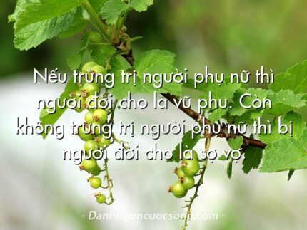 Nếu trừng trị người phụ nữ thì người đời cho là vũ phu. Còn không trừng trị người phụ nữ thì bị người đời cho là sợ vợ.