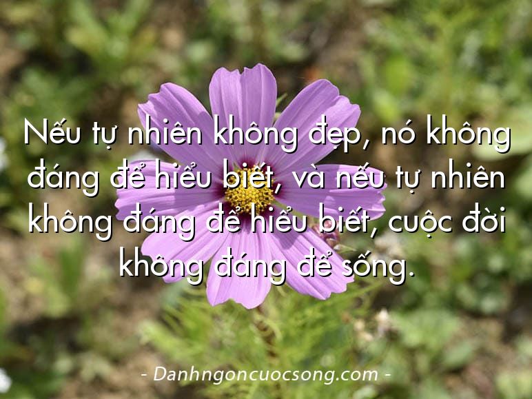 Nếu tự nhiên không đẹp, nó không đáng để hiểu biết, và nếu tự nhiên không đáng để hiểu biết, cuộc đời không đáng để sống.