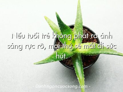 Nếu tuổi trẻ không phát ra ánh sáng rực rỡ, mọi thứ sẽ mất đi sức hút.