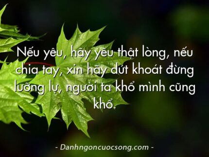 Nếu yêu, hãy yêu thật lòng, nếu chia tay, xin hãy dứt khoát đừng lưỡng lự, người ta khổ mình cũng khổ.