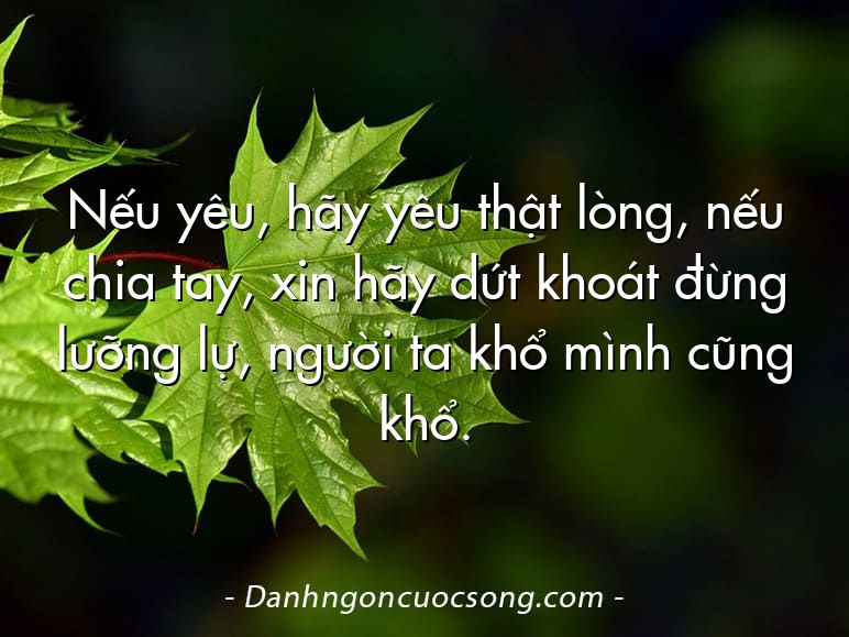 Nếu yêu, hãy yêu thật lòng, nếu chia tay, xin hãy dứt khoát đừng lưỡng lự, người ta khổ mình cũng khổ.