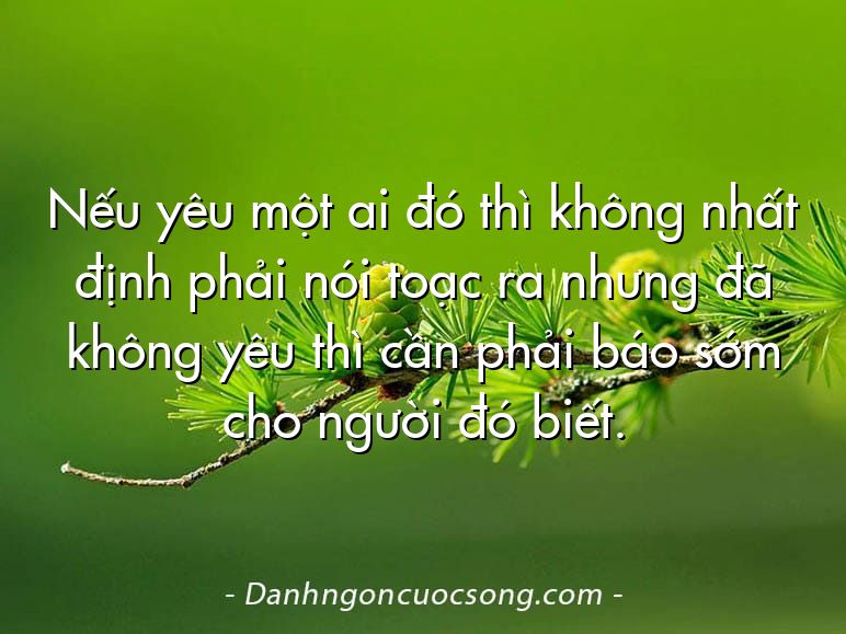 Nếu yêu một ai đó thì không nhất định phải nói toạc ra nhưng đã không yêu thì cần phải báo sớm cho người đó biết.