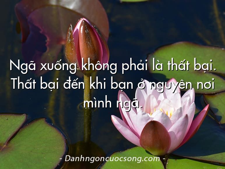 Ngã xuống không phải là thất bại. Thất bại đến khi bạn ở nguyên nơi mình ngã.