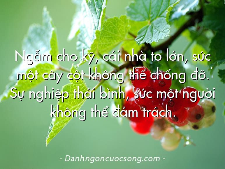 Ngẫm cho kỹ, cái nhà to lớn, sức một cây cột không thể chống đỡ. Sự nghiệp thái bình, sức một người không thể đảm trách.