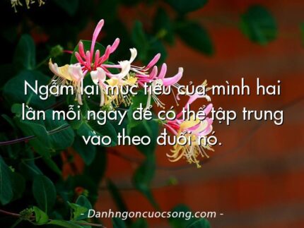 Ngẫm lại mục tiêu của mình hai lần mỗi ngày để có thể tập trung vào theo đuổi nó.