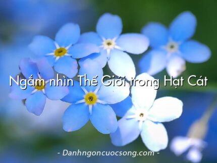 Ngắm nhìn Thế Giới trong Hạt Cát