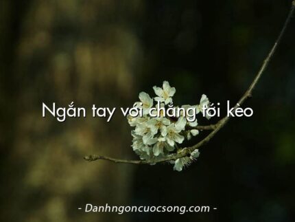 Ngắn tay với chẳng tới kèo