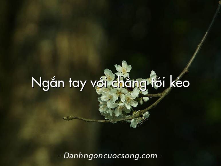 Ngắn tay với chẳng tới kèo