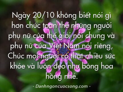 Ngày 20/10 không biết nói gì hơn chúc toàn thể những người phụ nữ của thế giới nói chung và phụ nữ của Việt Nam nói riêng, Chúc mọi người có thật nhiều sức khỏe và luôn đẹo như bông hoa hồng nhé.