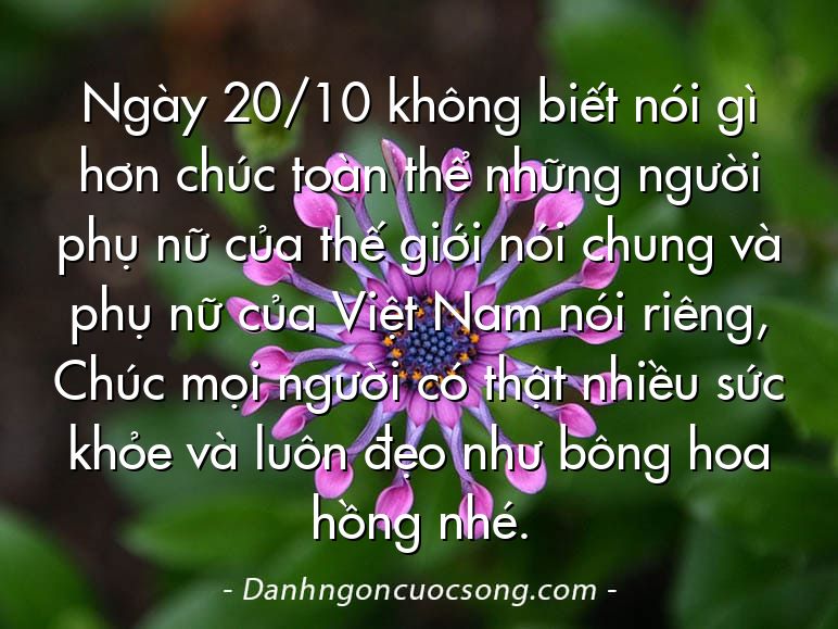 Ngày 20/10 không biết nói gì hơn chúc toàn thể những người phụ nữ của thế giới nói chung và phụ nữ của Việt Nam nói riêng, Chúc mọi người có thật nhiều sức khỏe và luôn đẹo như bông hoa hồng nhé.