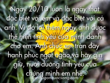 Ngày 20/10 luôn là ngày thật đặc biệt với em và đặc biệt với cả anh. Vì đó lại thêm ngày anh được thể hiện tình yêu của mình dành cho em. Anh chúc em tràn đầy hạnh phúc ngọt ngào và hãy gìn giữ, nuôi dưỡng tình yêu của chúng mình em nhé.