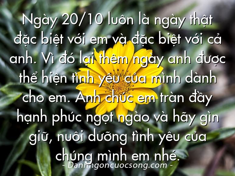 Ngày 20/10 luôn là ngày thật đặc biệt với em và đặc biệt với cả anh. Vì đó lại thêm ngày anh được thể hiện tình yêu của mình dành cho em. Anh chúc em tràn đầy hạnh phúc ngọt ngào và hãy gìn giữ, nuôi dưỡng tình yêu của chúng mình em nhé.