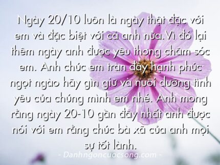 Ngày 20/10 luôn là ngày thật đặc với em và đặc biệt với cả anh nữa.Vì đó lại thêm ngày anh được yêu thơng chăm sóc em. Anh chúc em tràn đầy hạnh phúc ngọt ngào hãy gìn giữ và nuôi dưỡng tình yêu của chúng mình em nhé. Anh mong rằng ngày 20-10 gần đây nhất anh được nói với em rằng chúc bà xã của anh mọi sự tốt lành.