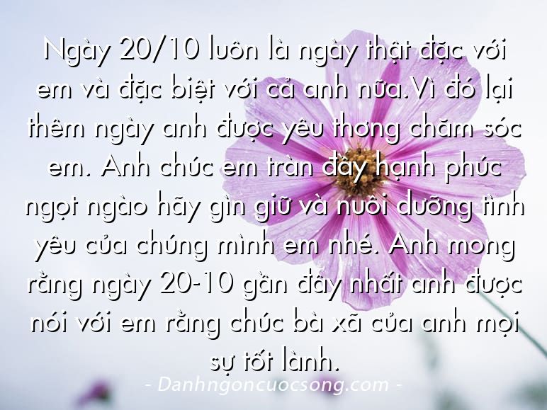 Ngày 20/10 luôn là ngày thật đặc với em và đặc biệt với cả anh nữa.Vì đó lại thêm ngày anh được yêu thơng chăm sóc em. Anh chúc em tràn đầy hạnh phúc ngọt ngào hãy gìn giữ và nuôi dưỡng tình yêu của chúng mình em nhé. Anh mong rằng ngày 20-10 gần đây nhất anh được nói với em rằng chúc bà xã của anh mọi sự tốt lành.