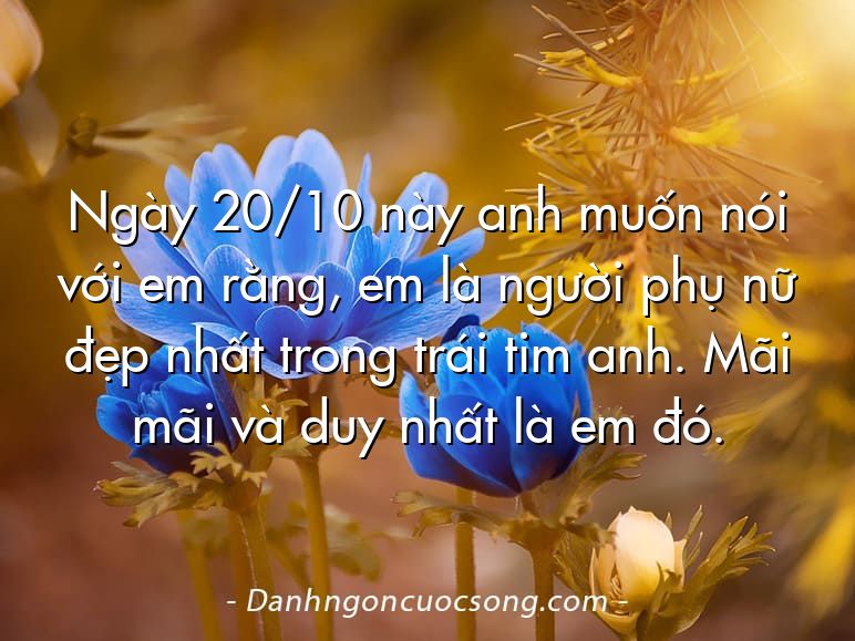 Ngày 20/10 này anh muốn nói với em rằng, em là người phụ nữ đẹp nhất trong trái tim anh. Mãi mãi và duy nhất là em đó.