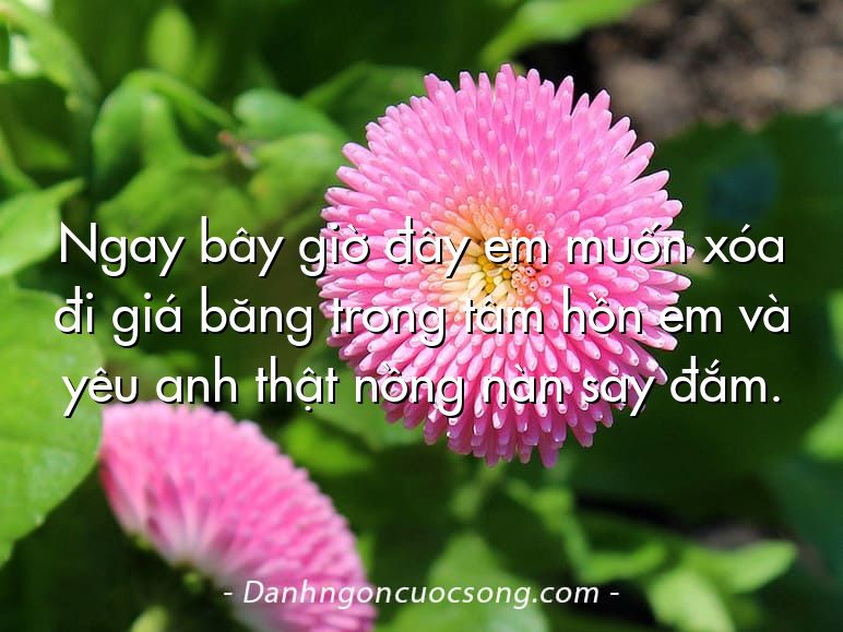 Ngay bây giờ đây em muốn xóa đi giá băng trong tâm hồn em và yêu anh thật nồng nàn say đắm.