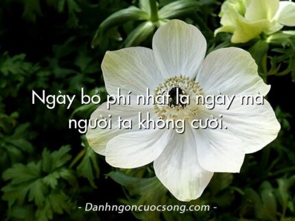 Ngày bỏ phí nhất là ngày mà người ta không cười.
