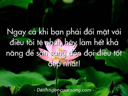 Ngay cả khi bạn phải đối mặt với điều tồi tệ nhất, hãy làm hết khả năng để sẵn sàng đón đợi điều tốt đẹp nhất!