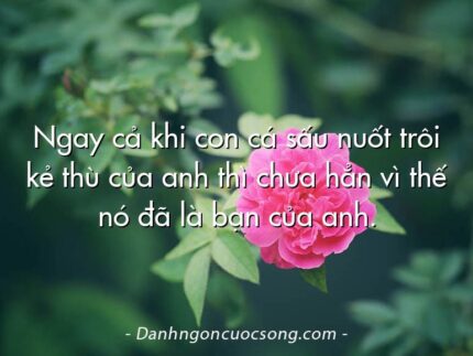 Ngay cả khi con cá sấu nuốt trôi kẻ thù của anh thì chưa hẳn vì thế nó đã là bạn của anh.